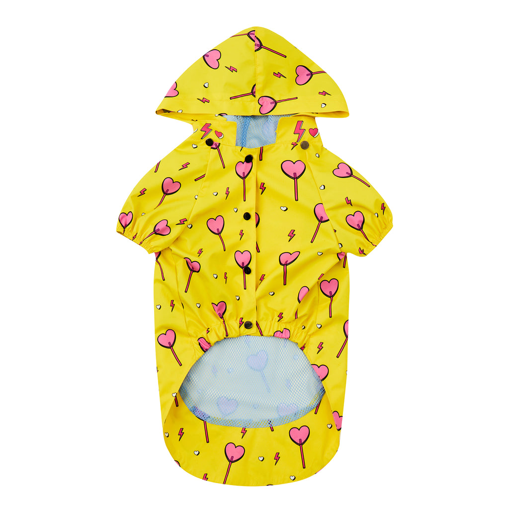 Yellow Heart Candy Köpek Yağmurluk - 4