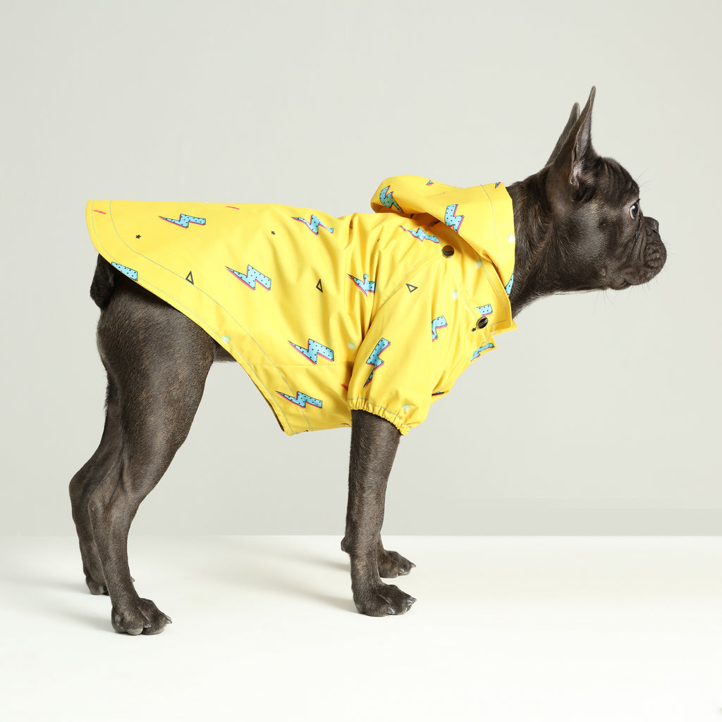 Yellow Flash Köpek Yağmurluk - 1