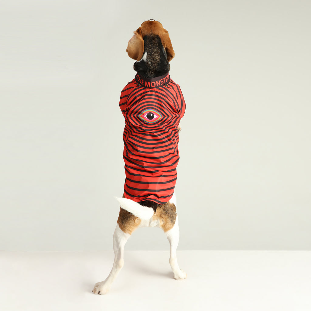 Red Hypnose  Köpek Yağmurluk - 1