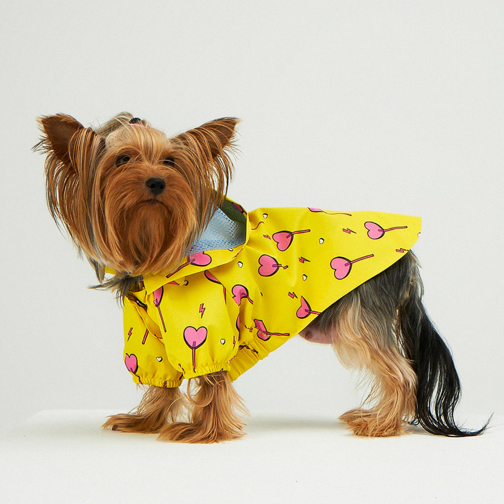 Yellow Heart Candy Köpek Yağmurluk - 1