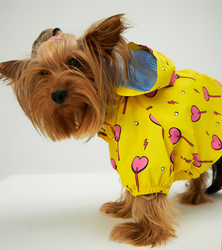 Yellow Heart Candy Köpek Yağmurluk - Little Monsters