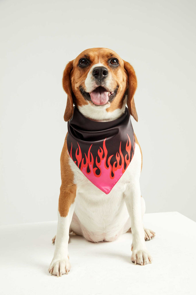BANDANA