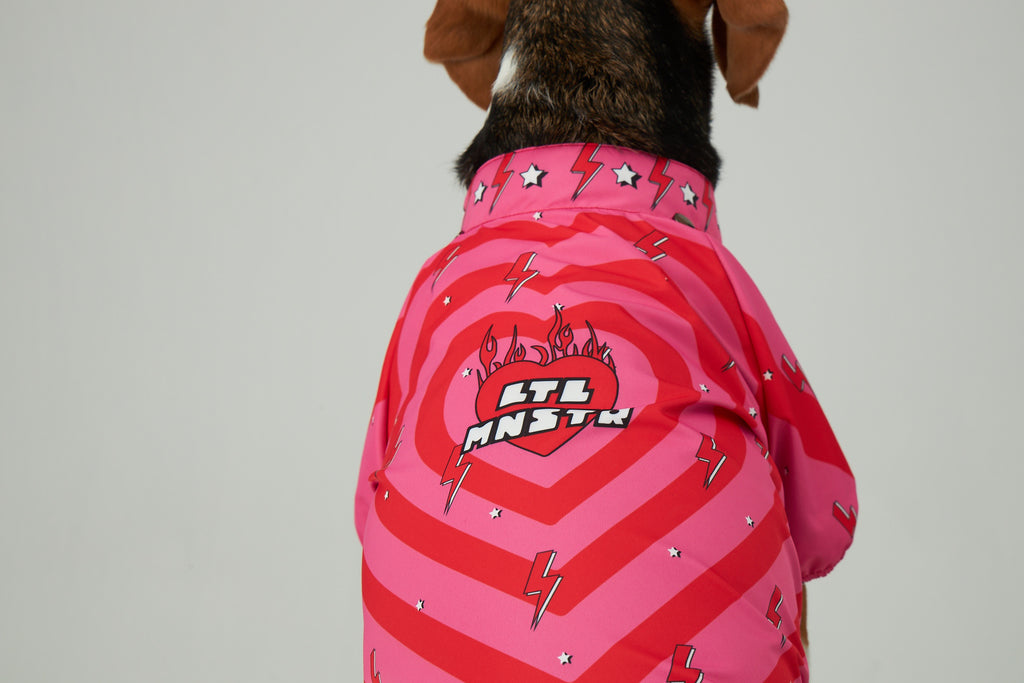 DOG RAINCOATS