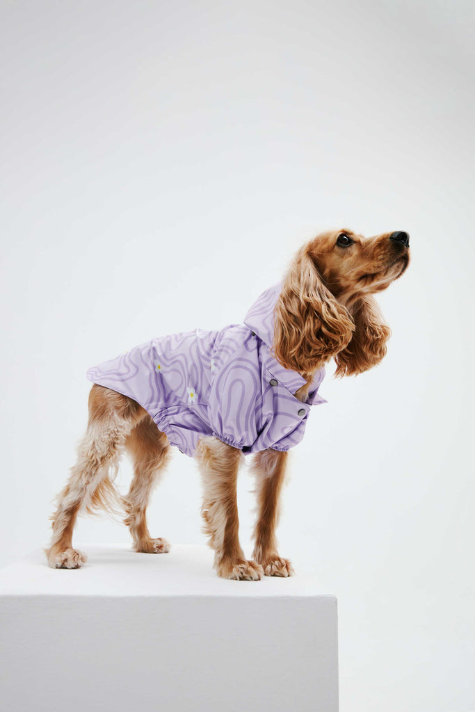 DOG RAINCOATS