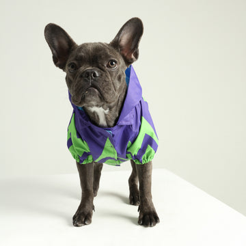 Green Hypnose Köpek Yağmurluk - Little Monsters