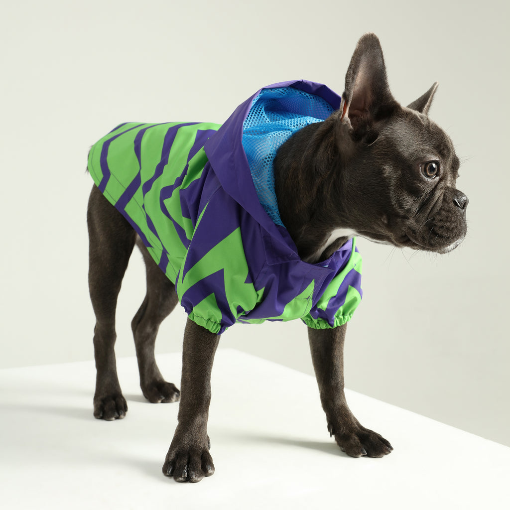 Green Hypnose Köpek Yağmurluk - 1