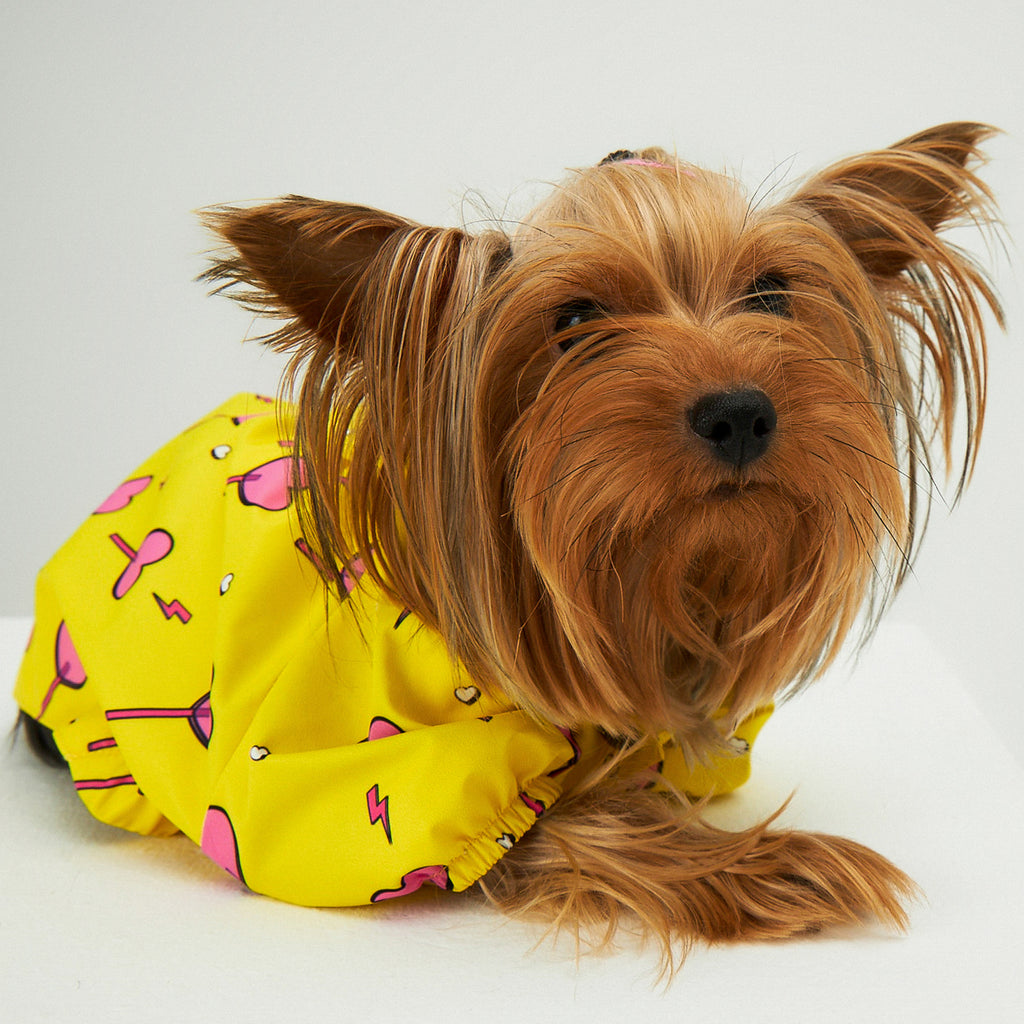 Yellow Heart Candy Köpek Yağmurluk - 2