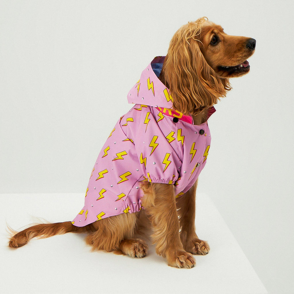 Pink Flash Köpek Yağmurluk - 1