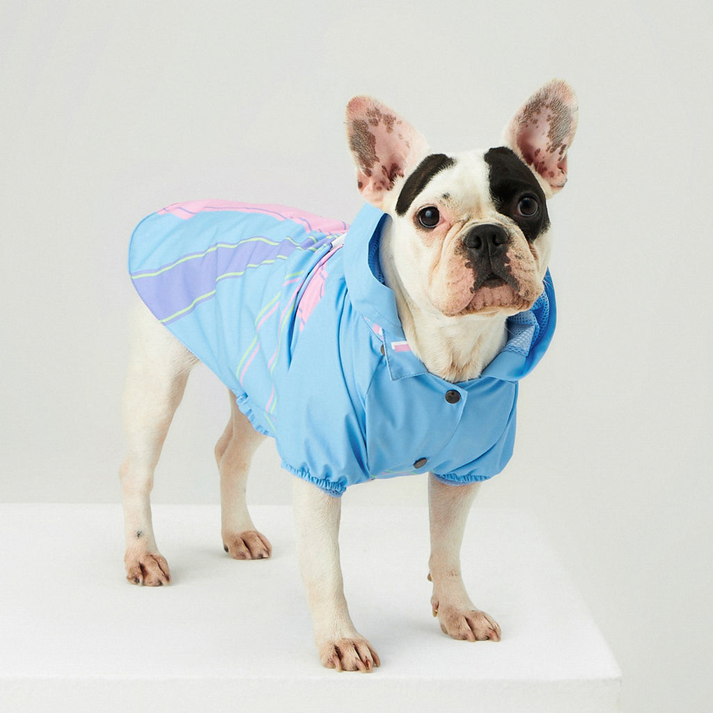 Blue Single Cloud  Köpek Yağmurluğu- Little Monsters