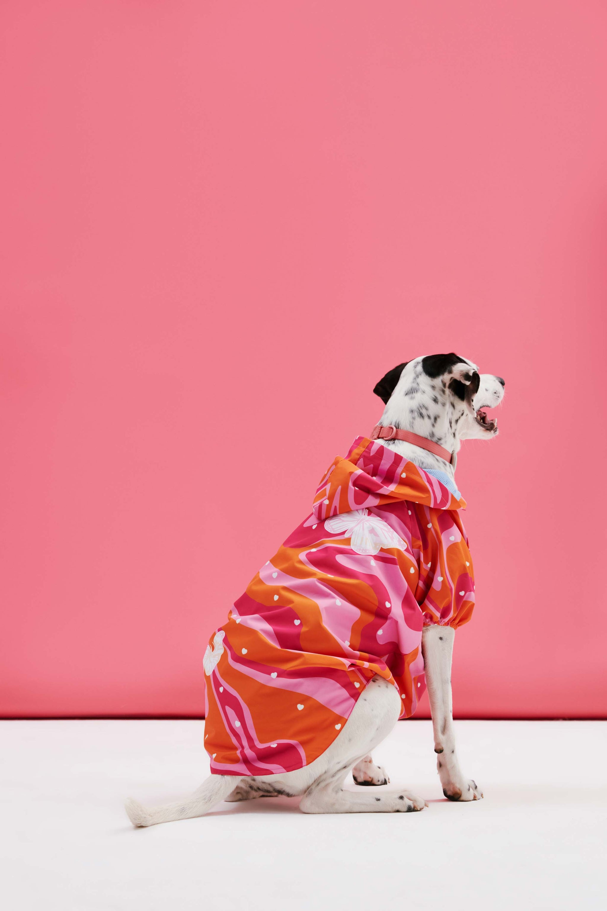 Orange Pink Wave Yağmurluk – LITTLE MONSTERS