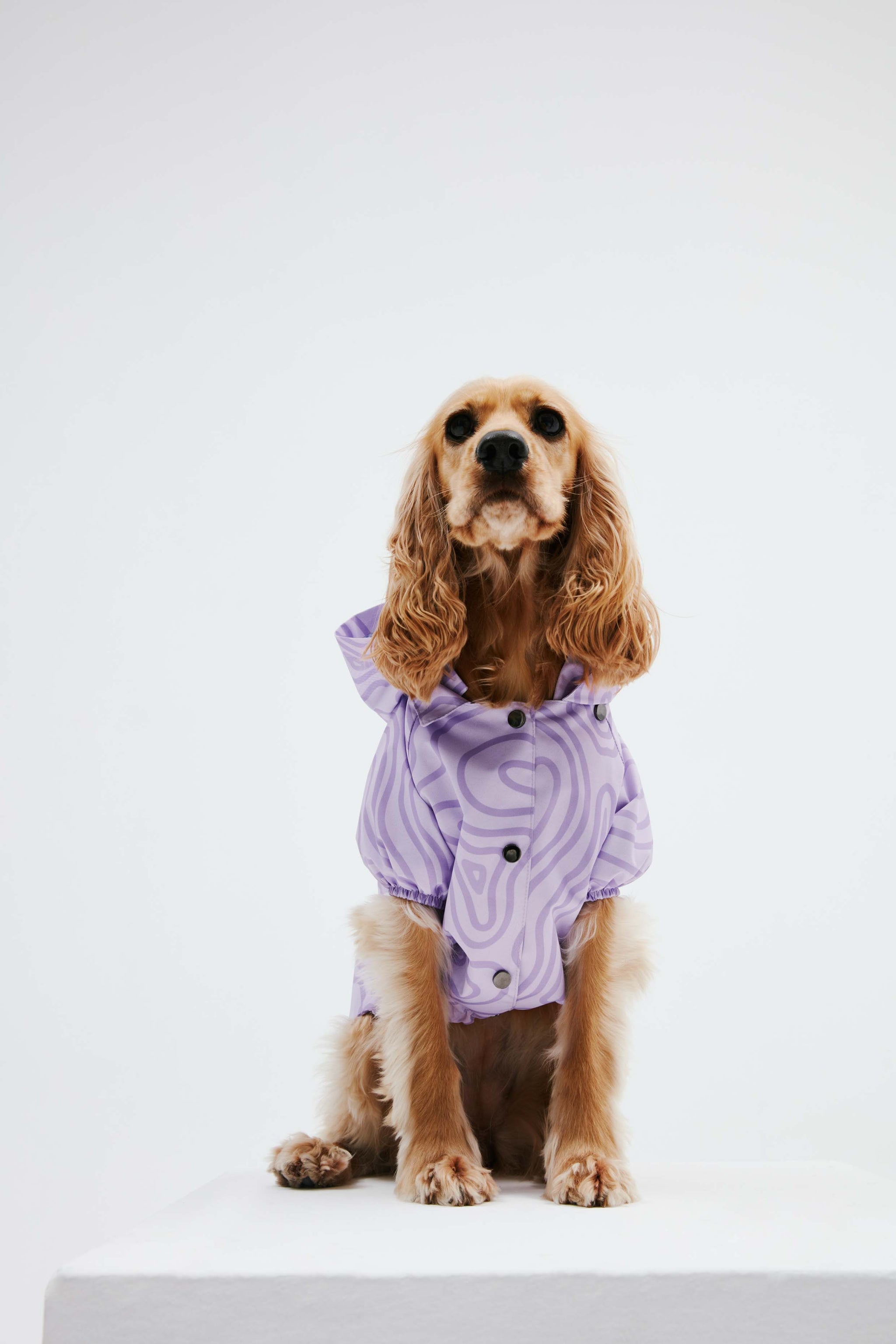 SHOP – LITTLE MONSTERS