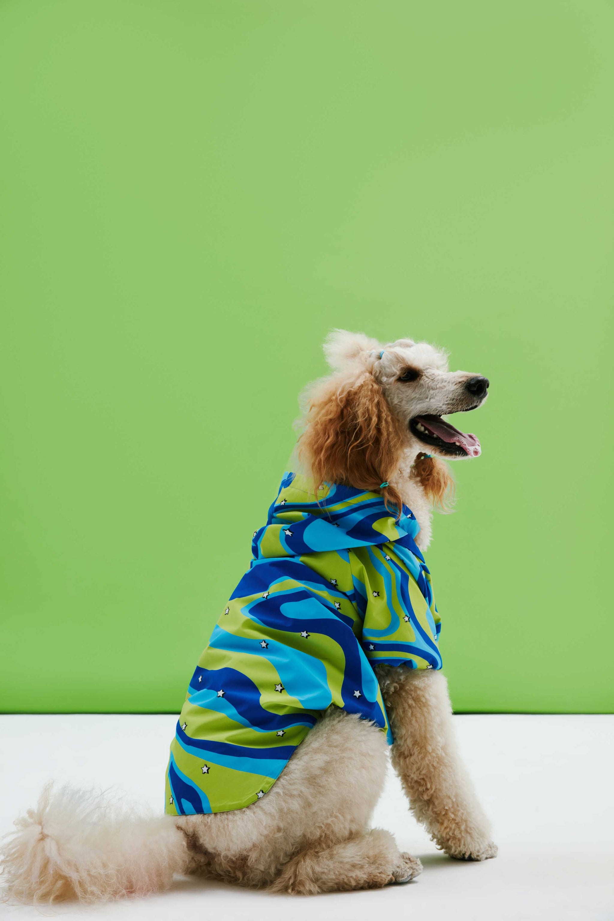 DOG RAINCOATS LITTLE MONSTERS